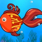 Aquarium Decoration