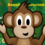 Game Category: Arcade