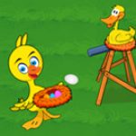 Game Category: Other