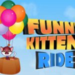Game Category: Other