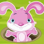 Game Category: Other