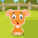 Game Category: Other