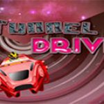 Game Category: Action