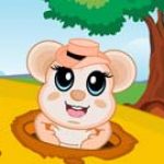 Game Category: Other