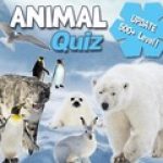 Game Category: Other