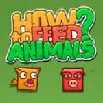 Game Category: Puzzles