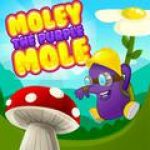 Game Category: Puzzles