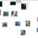 Game Category: Puzzles