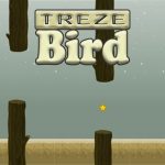 Game Category: Other
