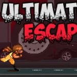 Game Category: Multiplayer